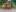 WhatsApp Imagee 2025-07-06 at 22.15.42