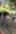 2020-10_Schinterwald