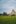 Jublasurium 250605 1752 AlainSethmacher 0008-min