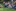 Sommerlager 2026