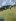 IMG 4861