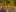 Sommerlager 2023