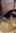 2020-01_Schatz