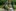2018-05_Frohnleichnam 