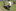 IMG 7757