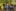 2024-10-19 15-27-53-5712x3924