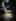 2025-03_Fackelabend