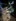 2025-03_Fackelabend