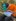 Jungwacht- Blauring-Weekend