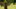 DSC01736-4240x2281