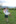 MI 23.07.2025, Schongau