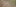 cjllo gelegt aus TN-7326x3096