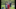 Sommerlager 2023