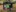 Neue Gruppe-3731x2798