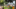 IMG 3516-2066x1170