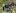 images-18