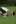 Mittwoch, 08.07.2026