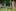 Sommerlager 2019