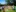 2019-07-14 11-16-44