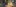 2020-02_Schoggibanane