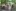 IMG 7898