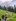 IMG-20240710-WA0025