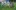 2009-07-13 20-34-03-800x497
