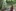 Impressionen Sommerlager 2024