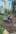 2020-10_Schinterwald