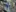 2025-03_Fackelabend