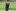 Sommerlager 2025 