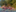 Sommerlager 2023