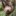 faultier-sloth-c-20534403-jpg--67306--809x809