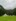Sommerlager 2024 in Lungern OW