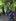 Jungwacht- Blauring-Weekend