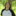 IMG 6413-3120x3118