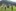 FR 01. August 2025