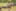 Jublasurium 250609 1129 GiannaMohler 0003-545x363