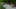 Tag 4 - Suche nach Pete&nbsp;