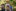 Sommerlager 2018