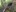 2024-09_Schnurgame