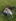 IMG-20250712-WA0013