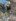 2020-01_Schatz