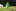 Sommerlager 2023