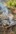 2020-10_Schinterwald