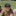 IMG 6430-1161x1161