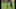 Sommerlager 2023