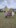 0.21WhatsApp Image 2025-06-09 at 20.24.52