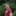 IMG 8354-1984x1983