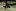 Tag 13